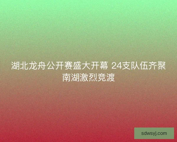 湖北龙舟公开赛盛大开幕 24支队伍齐聚南湖激烈竞渡